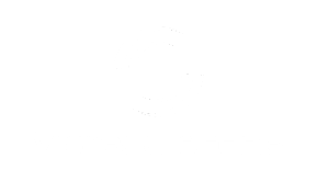 Sucess story visieaudrone